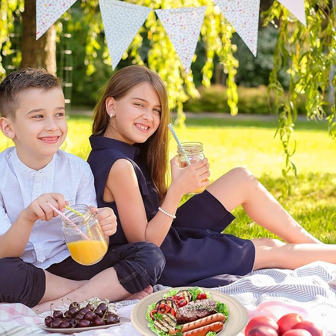 Vplus 500 Pack Compostable Disposable Paper Plates 10.25 inch Super Strong Paper Plates 100% Bagasse Natural Biodegradable Eco-Friendly Sugarcane (nature)