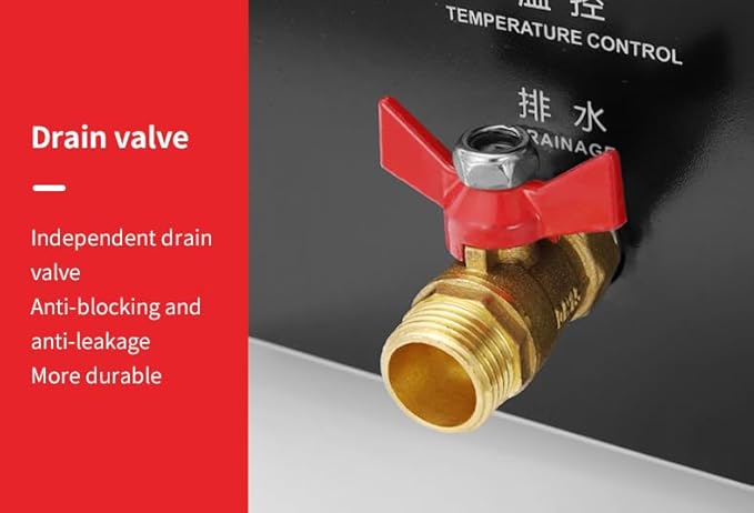 Commercial Pasta Cooker with drain valve 2 Independent Tank 4 Pasta Strainer Noodle Cooking Machine Pasta Makers Boiler Temperature Adjustable Boiler For Spaghetti Ramen 110V US plug