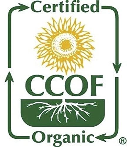 McCabe Organic Buckwheat Flour - Buckwheat Flour Organic | Rich with Fiber & Minerals | USDA and CCOF Certified | Packed in USA | 2Lbs (Pack of 3)