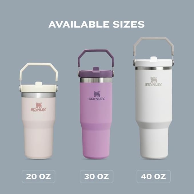 Stanley IceFlow 2.0 Flip Straw Tumbler with Handle 30 oz | Twist On Lid and Flip Up Straw | Leak Resistant Water Bottle | Insulated Stainless Steel | BPA-Free | Lilac
