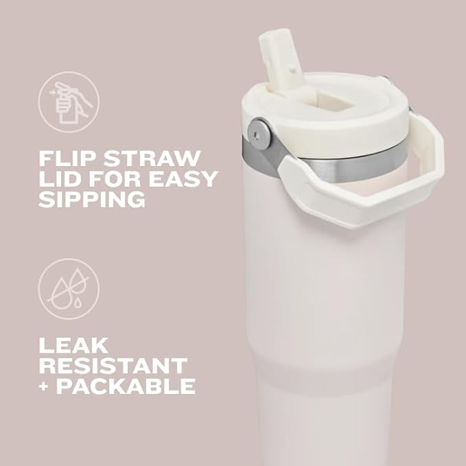 STANLEY IceFlow 2.0 Flip Straw Tumbler with Handle 20 oz | Twist On Lid and Flip Up Straw | Leakproof Water Bottle | Insulated Stainless Steel | BPA-Free | Chili Red