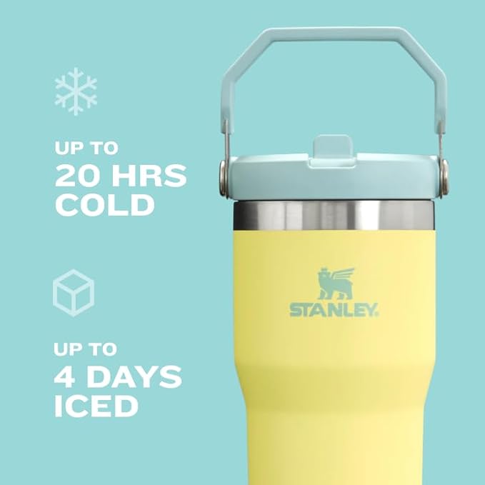 STANLEY IceFlow 2.0 Flip Straw Tumbler with Handle 20 oz | Twist On Lid and Flip Up Straw | Leakproof Water Bottle | Insulated Stainless Steel | BPA-Free | Chili Red