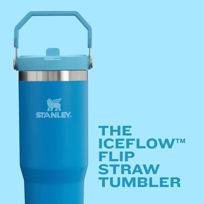 STANLEY IceFlow 2.0 Flip Straw Tumbler with Handle 30 oz | Twist On Lid and Flip Up Straw | Leakproof Water Bottle | Insulated Stainless Steel | BPA-Free | Pink Mesa