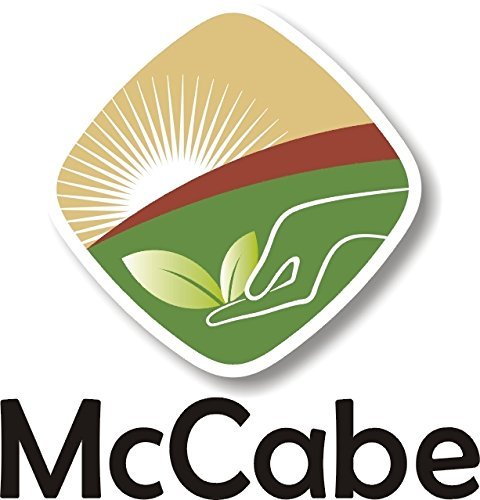 McCabe Organic Millet Flour - Millet Flour Organic | Rich with Fiber & Minerals | USDA and CCOF Certified | Product of USA | 2Lbs