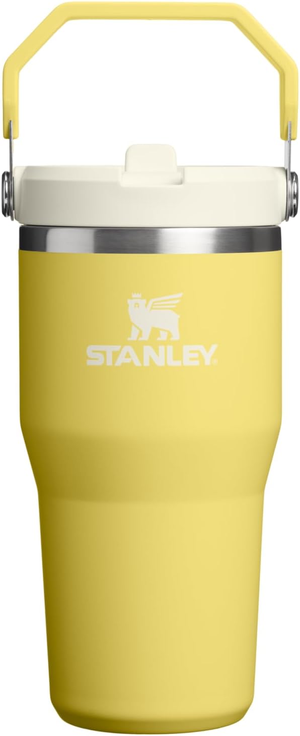 STANLEY IceFlow 2.0 Flip Straw Tumbler with Handle 20 oz | Twist On Lid and Flip Up Straw | Leakproof Water Bottle | Insulated Stainless Steel | BPA-Free | Daffodil