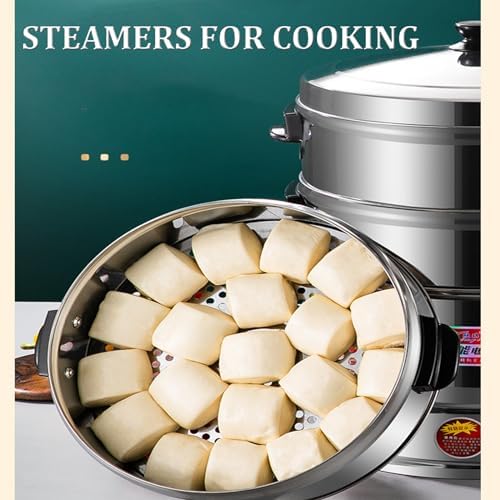 3-Tier Stainless Steel Electric Food Steamer with Automatic Heating & Static Control - Ideal for Healthy Meal Prep, Breakfast, & Cooking (220V)