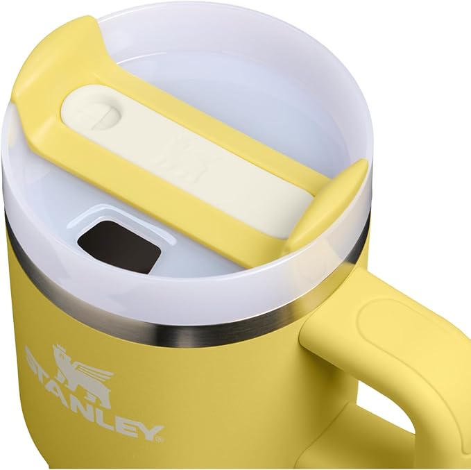 STANLEY Quencher H2.0 Tumbler with Handle and Straw 20 oz | Flowstate 3-Position Lid | Cup Holder Compatible for Travel | Insulated Stainless Steel Cup | BPA-Free | Daffodil