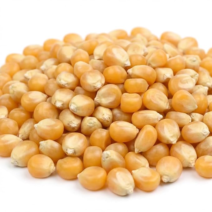 Princeton Popcorn Signature Easy Pop™ Mushroom Popcorn Kernels – New 2026 Ultra-Premium Variety, Pops Large & Round, Easy-Popping with Fewer Hulls, Non-GMO, No Glyphosate, Farmer-Direct, Made in USA (32 oz)