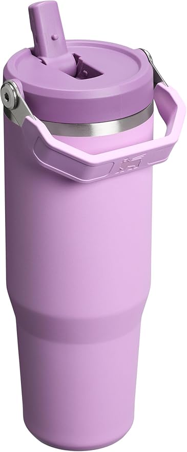 Stanley IceFlow 2.0 Flip Straw Tumbler with Handle 30 oz | Twist On Lid and Flip Up Straw | Leak Resistant Water Bottle | Insulated Stainless Steel | BPA-Free | Lilac