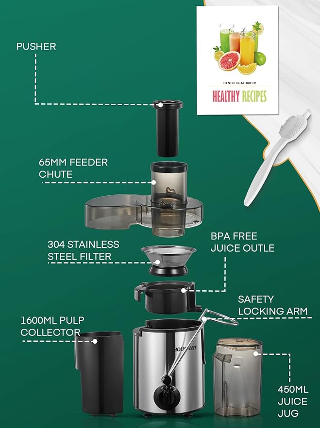 Juicer Machines, HOUSNAT Juicer Whole Fruit and Vegetables with 3-Speed Setting, 400 W Motor Quick Juicing Ideal for Beginners & Light Daily Use, Cleaning Brush and Juicing Recipe Included