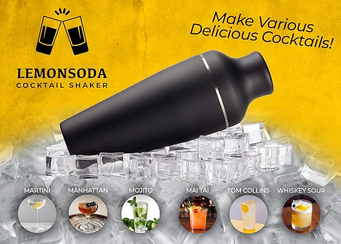 9-Piece Cocktail Shaker Bartender Kit with Stand, Boston Shaker, Mixing Spoon, Muddler, Measuring Jigger, Mesh and Regular Strainer, Liquor Pourers and More Professional Bar Tools