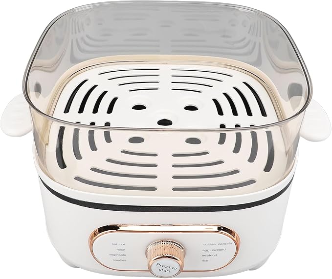 HEEPDD 2 Tier Electric Steam Pot, Steamers Multipurpose Cooker with Removable Steaming Trays, for Soup Noodles Seafood Vegetables 2 Tier Electric Steam Pot, 1200W 10.5L Stackable (US Plug 110V 700W)