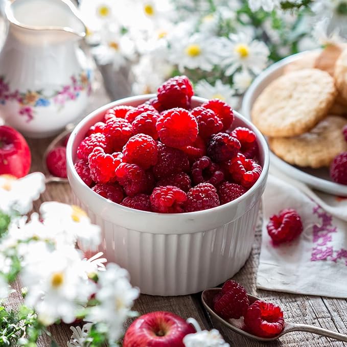 Foraineam Set of 12 Pcs 6 oz Porcelain Souffle Dishes, White Ramekins Bakeware Set Dessert Custard Baking Cups for Baking, Cooking, Serving and More