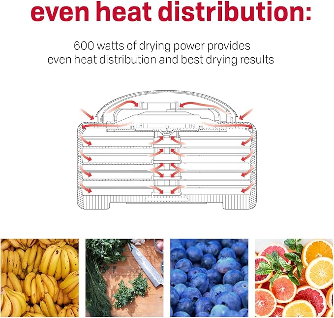 Nesco FD-61WHCK Snackmaster Encore Food Dehydrator with Jerky Gun Kit for Great Snacks and Jerky, 6 Trays, Gray, 1 Count (Pack of 1),White