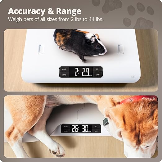 Greater Goods Essential Kitchen Scale and Healthy Paws Pet Scale