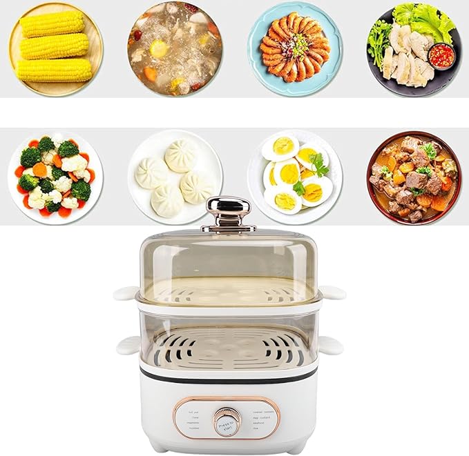 2 Tier Electric Food Steamer, 1200W Stackable Steam Cooker Electric Hot Pot Vegetable Steamer for Vegetable Seafood Soup Noodles Ramen Cooker (US)