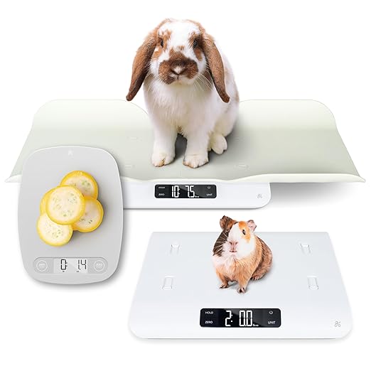 Greater Goods Essential Kitchen Scale and Healthy Paws Pet Scale