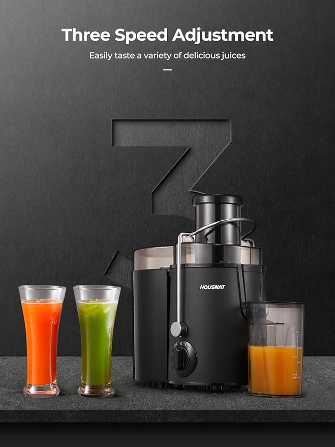 Juicer Machines, HOUSNAT Juicer Whole Fruit and Vegetables with 3-Speed Setting, Upgraded Version 400 W Motor Quick Juicing, Cleaning Brush and Juicing Recipe Included, Black