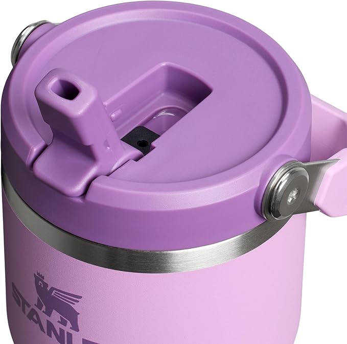 STANLEY IceFlow 2.0 Flip Straw Tumbler with Handle 20 oz | Twist On Lid and Flip Up Straw | Leak Resistant Water Bottle | Insulated Stainless Steel | BPA-Free | Lilac