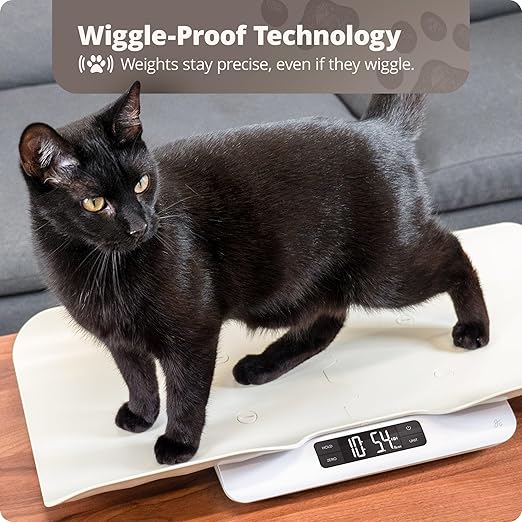 Greater Goods Essential Kitchen Scale and Healthy Paws Pet Scale