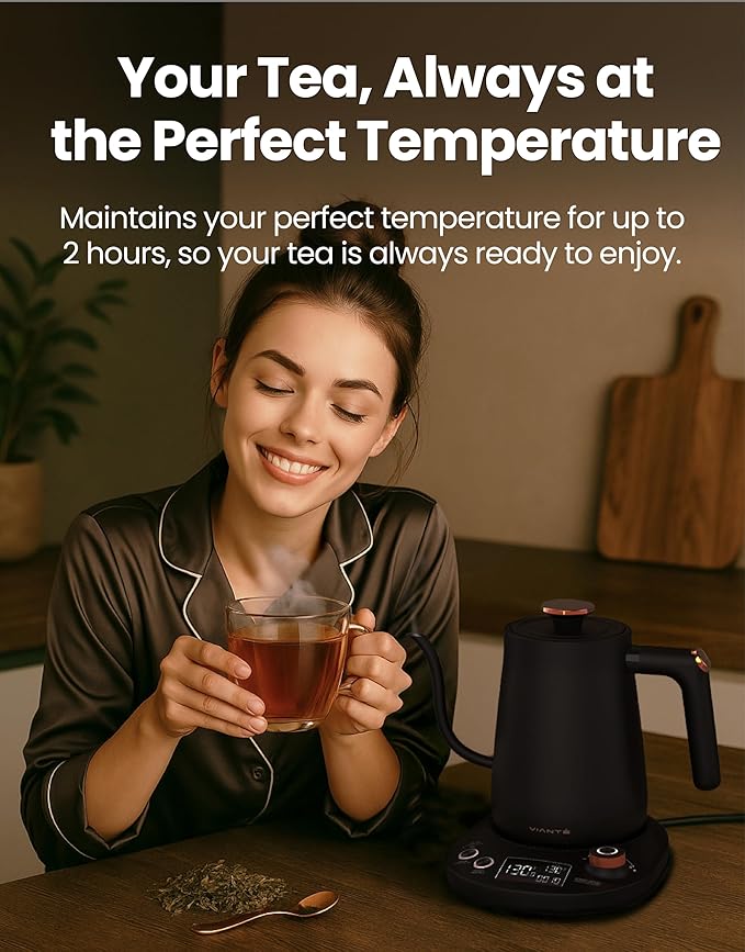 Vianté Electric Gooseneck Kettle with Precise Temperature Control. Pour Over Coffee & Tea Kettle. Boil-Dry Protection & Keep Warm Function. Stainless Steel, BPA-Free. Includes #2 Filters. 0.8L