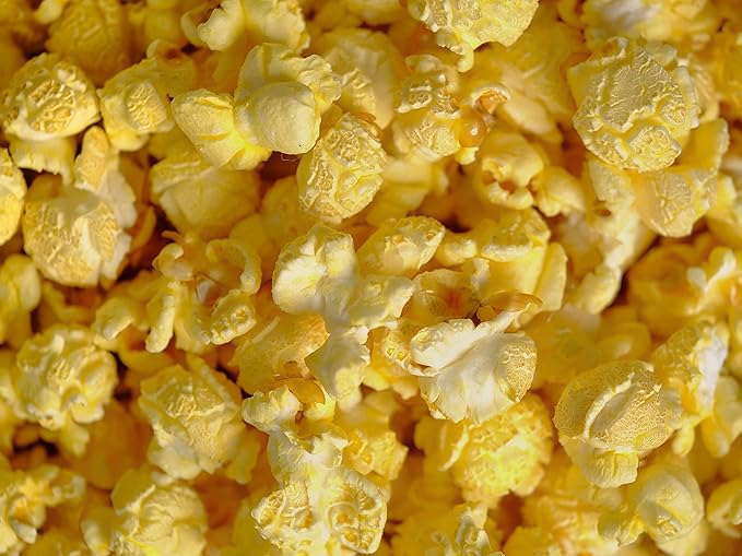 Amish Country Popcorn | 12 Pack Mixed Seasoning Bundle