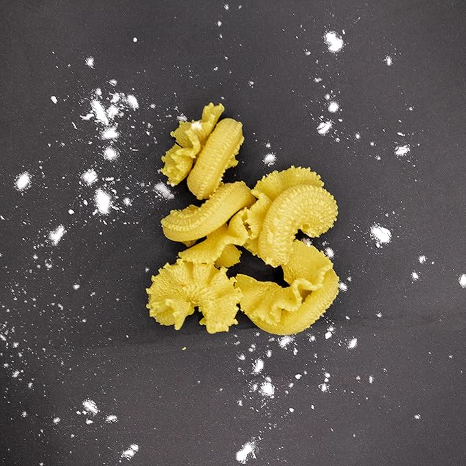 Pasta Shape Discs Fit For Philips Automatic Pasta & Noodle Maker, Philips Pasta Maker Attachments, Kitchen Appliances, Accessory Kit (Torchietti Ondulati)